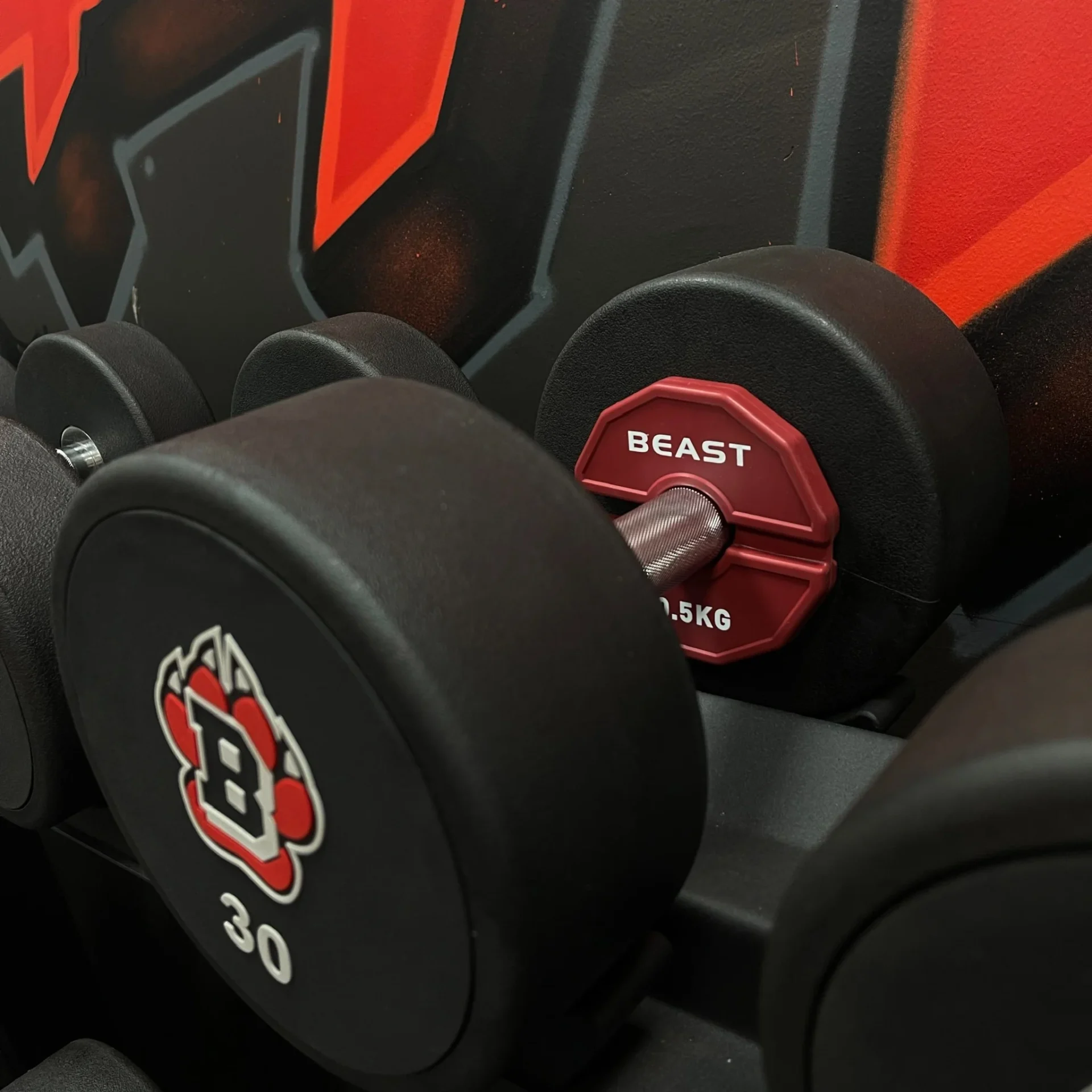 Cặp Tạ Add-on Change Plate 0.5kg Beast Strength 14 Cap ta add on Beast strength 0.5kg 2