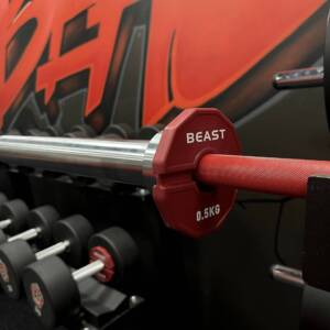 Cặp Tạ Add-on Change Plate 0.5kg Beast Strength 10 Cap ta add on Beast strength 0.5kg 3