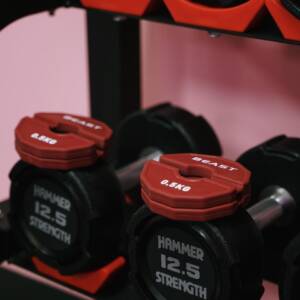 Cặp Tạ Add-on Change Plate 0.5kg Beast Strength 9 Cap ta add on Beast strength 0.5kg 5