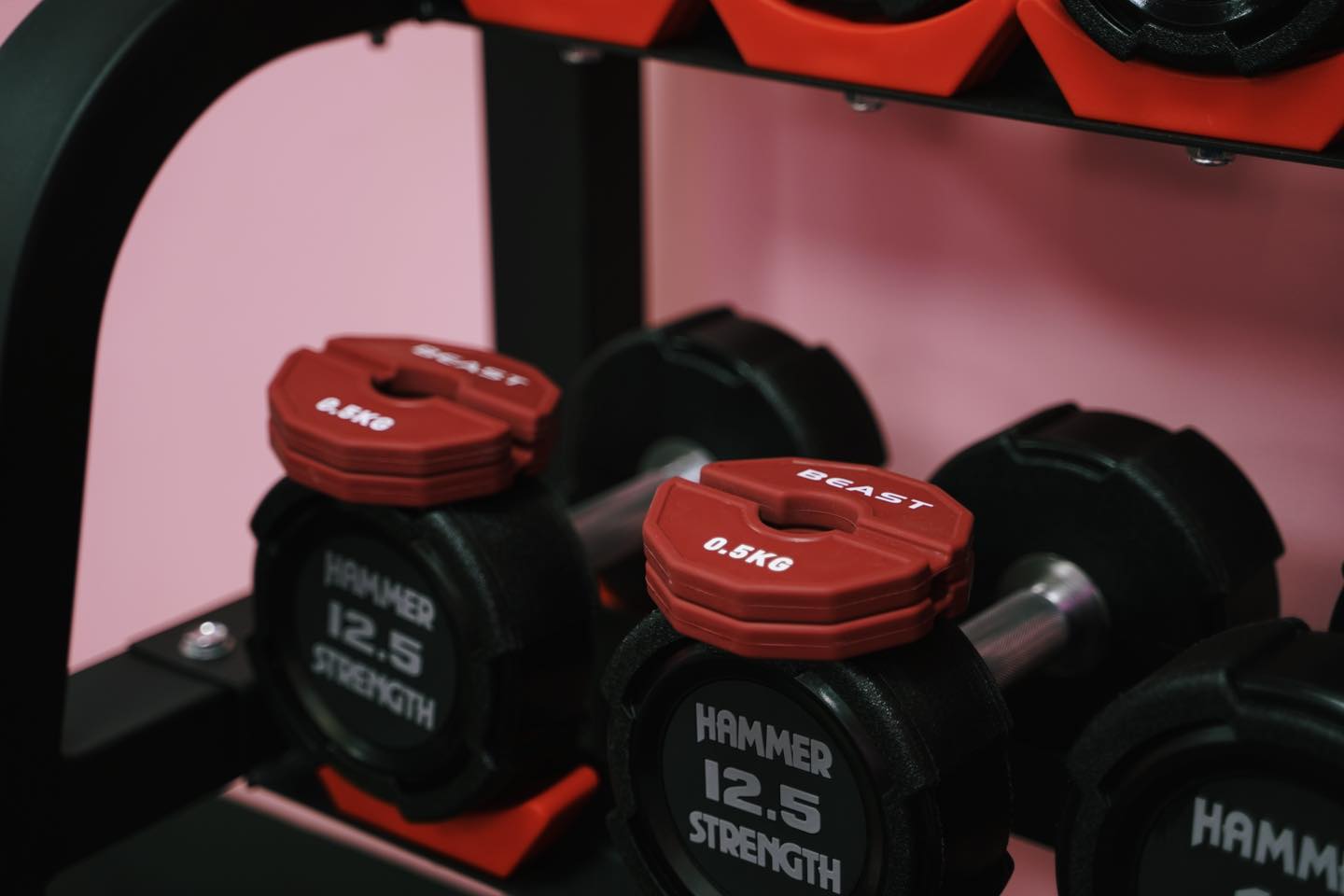 Cặp Tạ Add-on Change Plate 0.5kg Beast Strength 3 Cap ta add on Beast strength 0.5kg 5