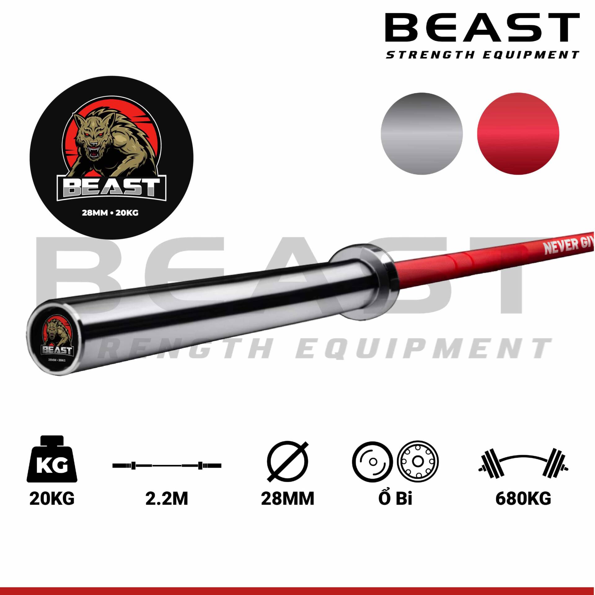 Thanh tạ Beast never give up