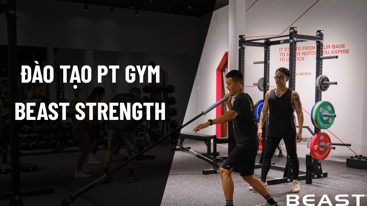 Khóa đào tạo pt gym tại Beast Việt Nam
