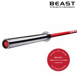 Thanh tạ Beast never give up