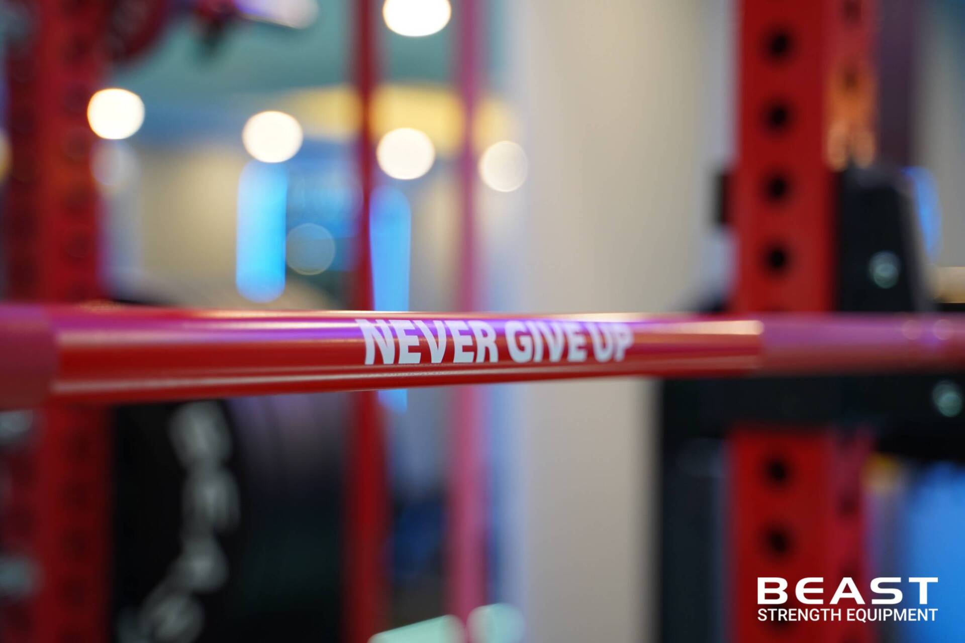 Beast Setup phòng Gym: Iconic Private Training - Top Phòng Gym Cao Cấp 2025 16 Dự án Beast setup phòng gym Iconic Private Training