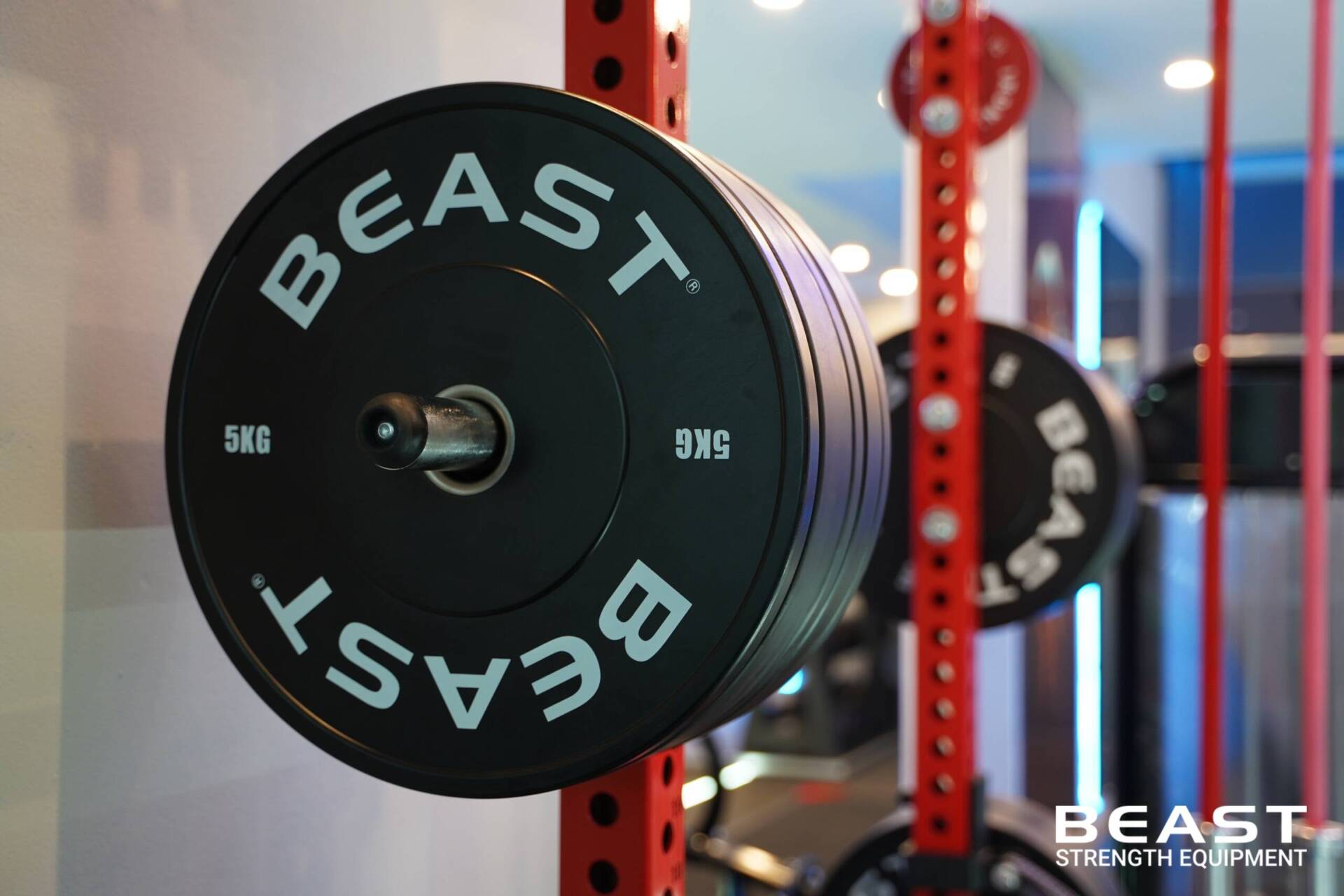 Beast Setup phòng Gym: Iconic Private Training - Top Phòng Gym Cao Cấp 2025 19 Dự án Beast setup phòng gym Iconic