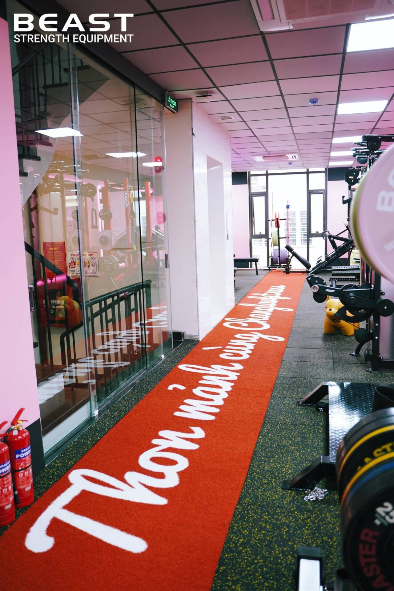 Dự Án Pro Training VN - Beast SetUp Phòng Gym Tối Ưu Diện Tích Nhất 2025 9 Dự án setup phòng gym Pro Training Vn