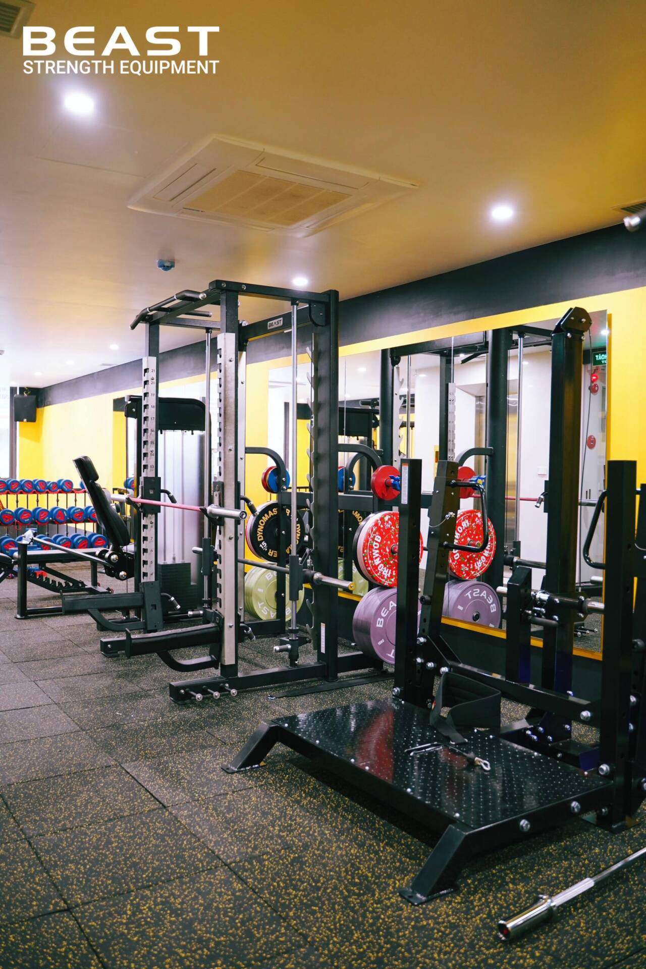 Dự Án Pro Training VN - Beast SetUp Phòng Gym Tối Ưu Diện Tích Nhất 2025 11 Dự án setup phòng gym Pro Training Vn