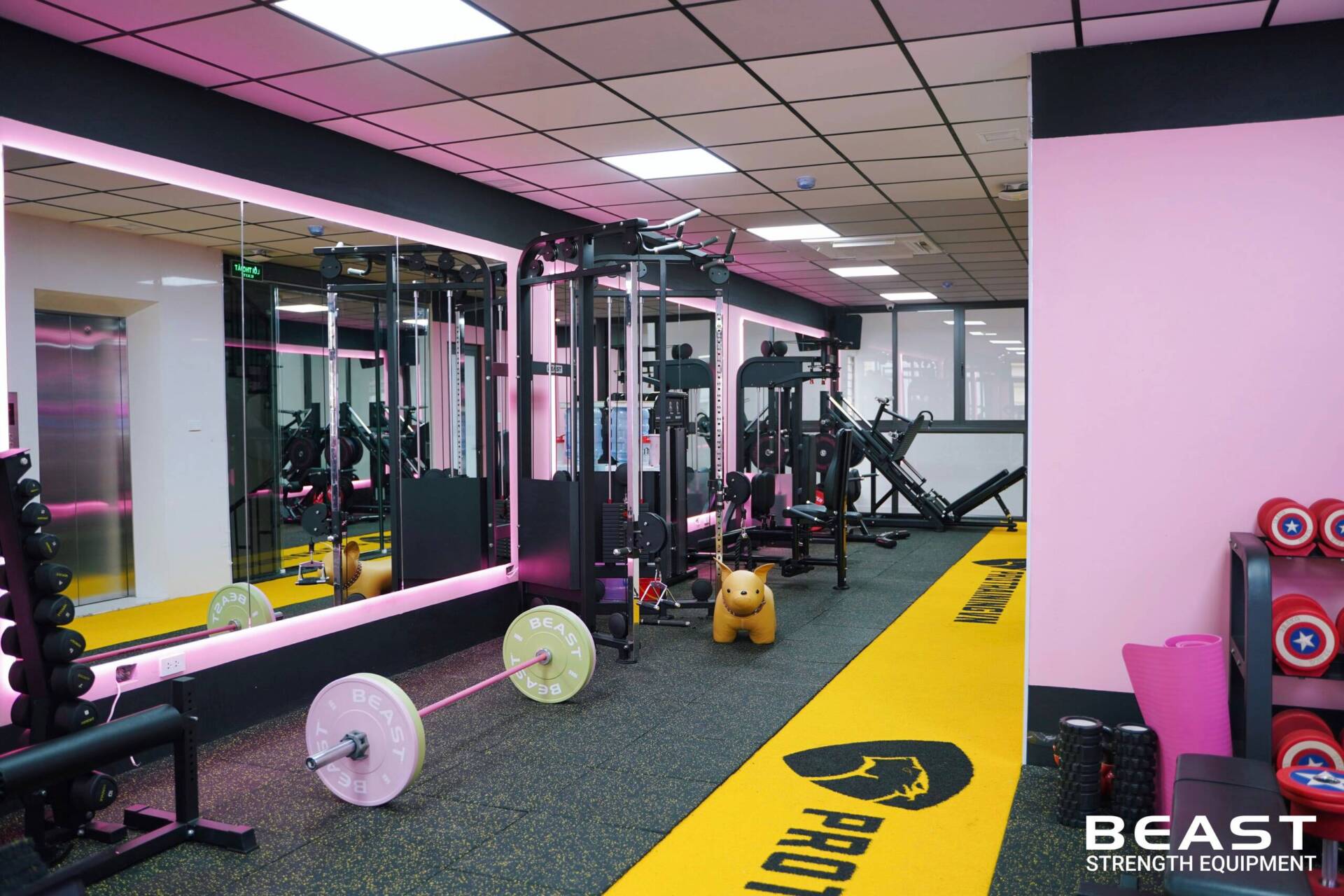 Dự Án Pro Training VN - Beast SetUp Phòng Gym Tối Ưu Diện Tích Nhất 2025 16 Dự án setup phòng gym Pro Training VN