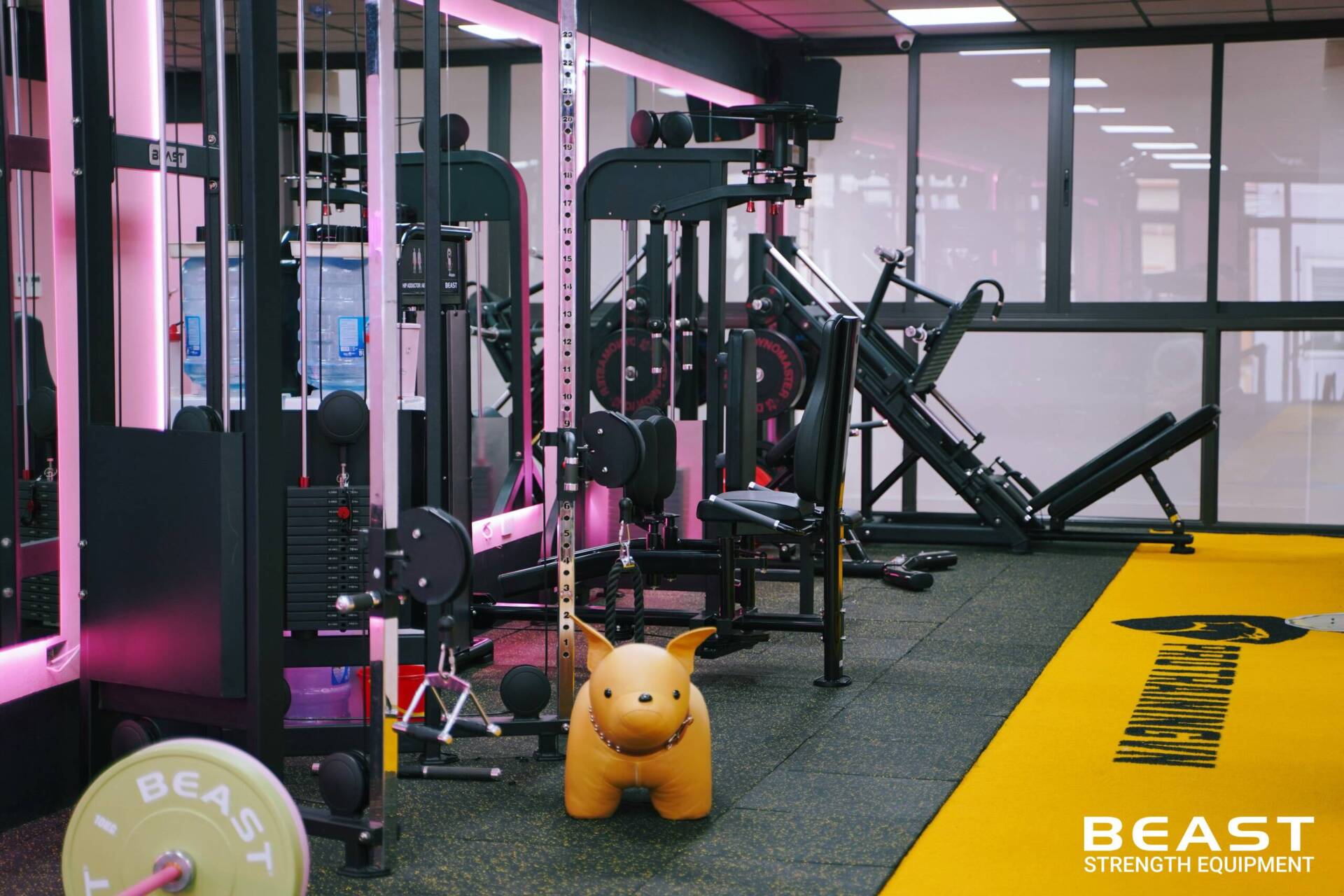 Dự Án Pro Training VN - Beast SetUp Phòng Gym Tối Ưu Diện Tích Nhất 2025 14 Dự án setup phòng gym Pro Training VN