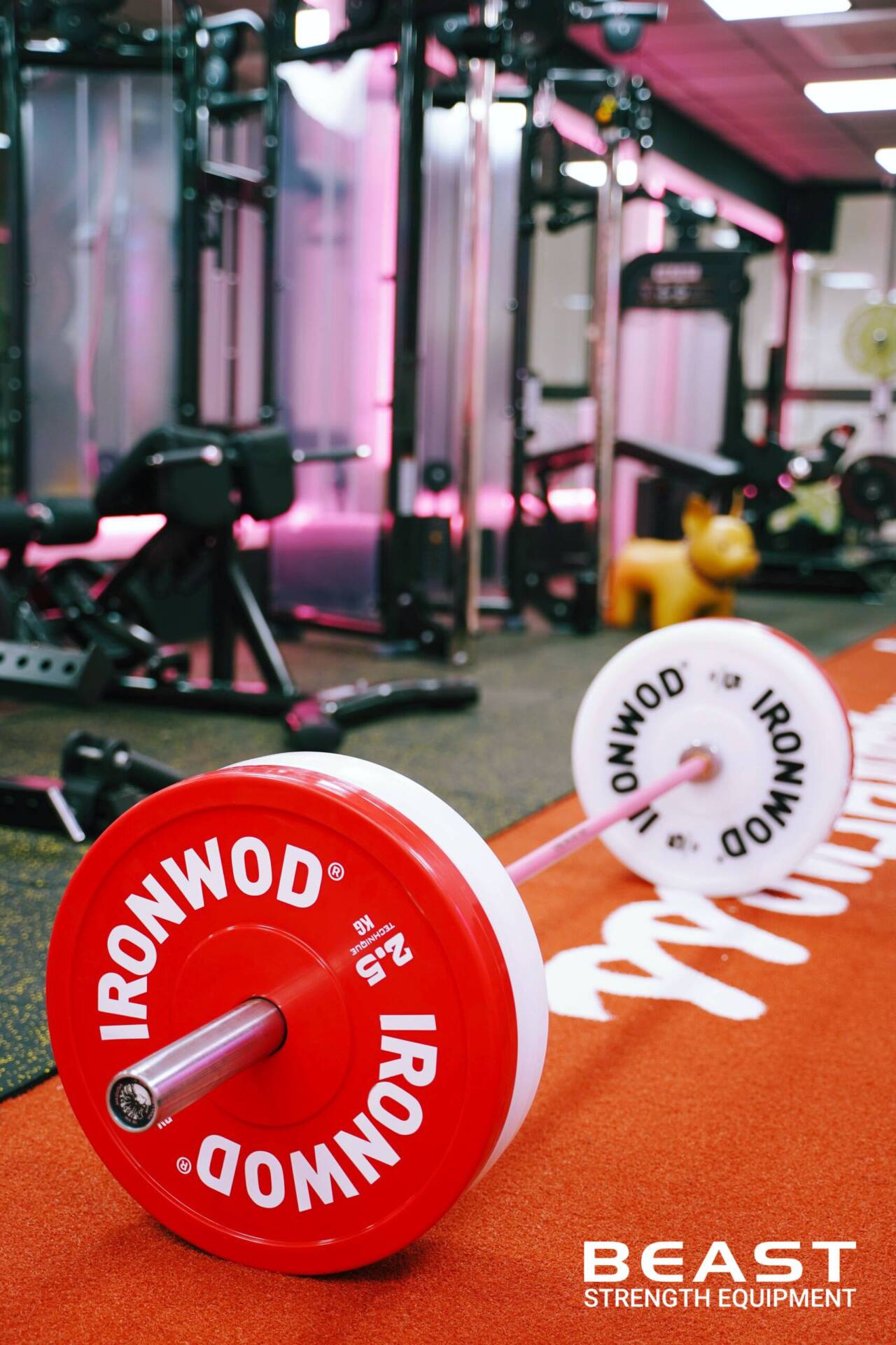 Dự Án Pro Training VN - Beast SetUp Phòng Gym Tối Ưu Diện Tích Nhất 2025 15 Dự án setup phòng gym Pro Training Vn