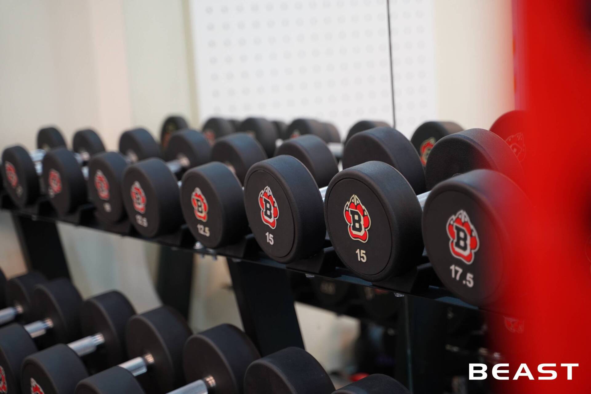 GRACE PRIVATE TRAINING: Dự Án Beast Setup Phòng Gym Sang Trọng 2025 15 Dự án Beast setup phòng gym GRACE PRIVATE TRAINING