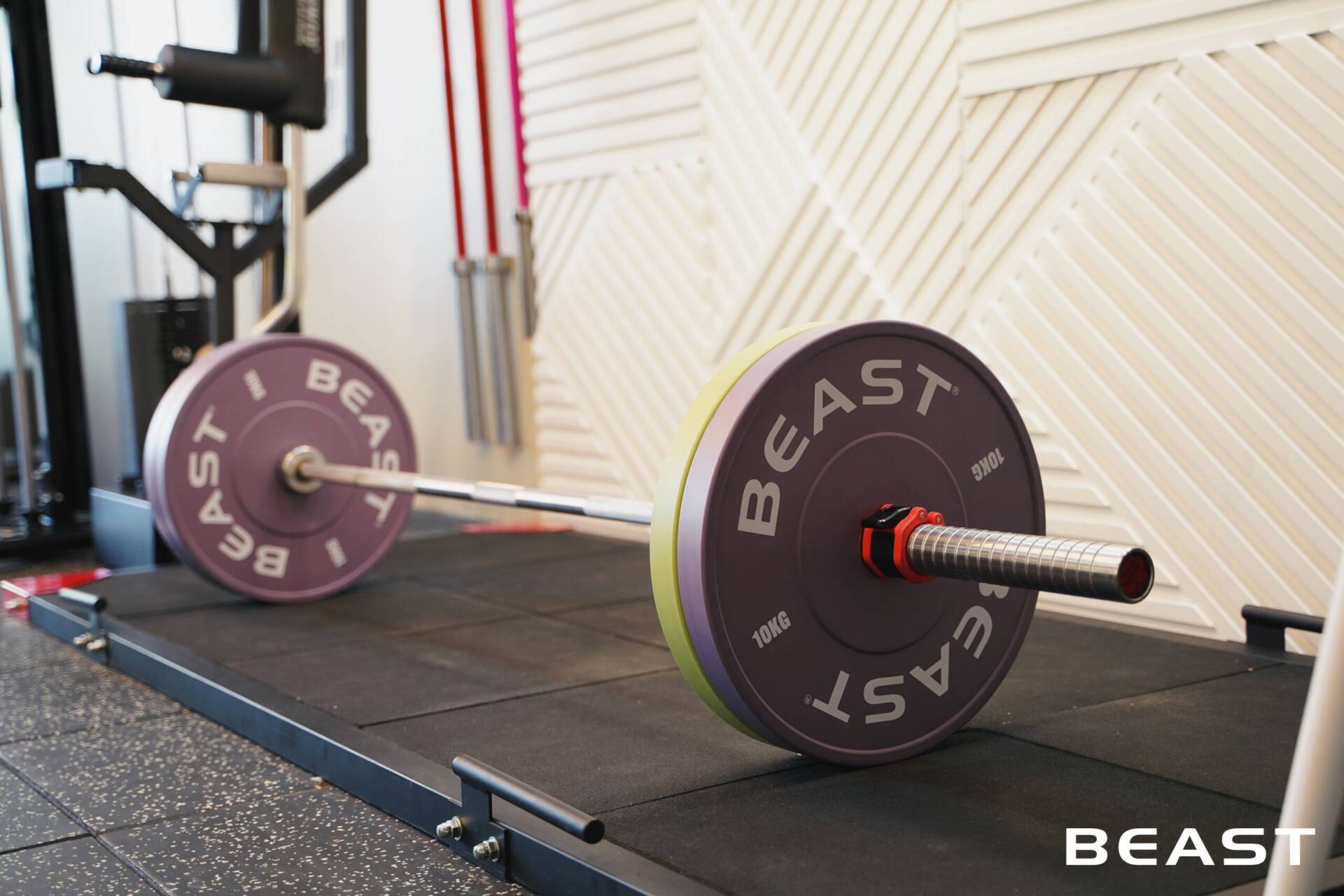 GRACE PRIVATE TRAINING: Dự Án Beast Setup Phòng Gym Sang Trọng 2025 19 Dự án Beast setup phòng gym Grace