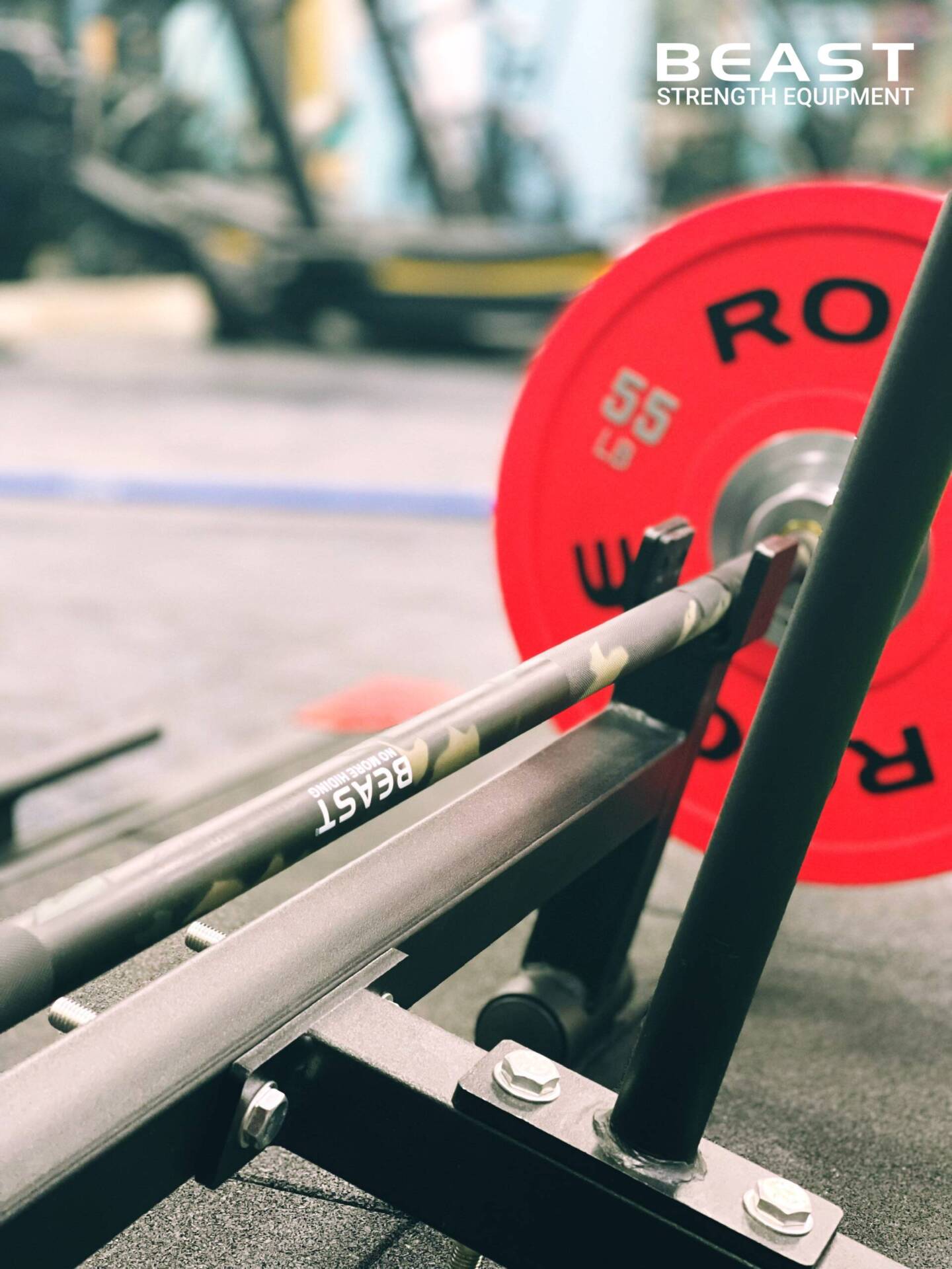 Thuận Vũ Wellness: Dự Án Beast Setup Phòng Gym Hiện Đại 10 Dự án Beast setup phòng gym Thuận Vũ Wellness