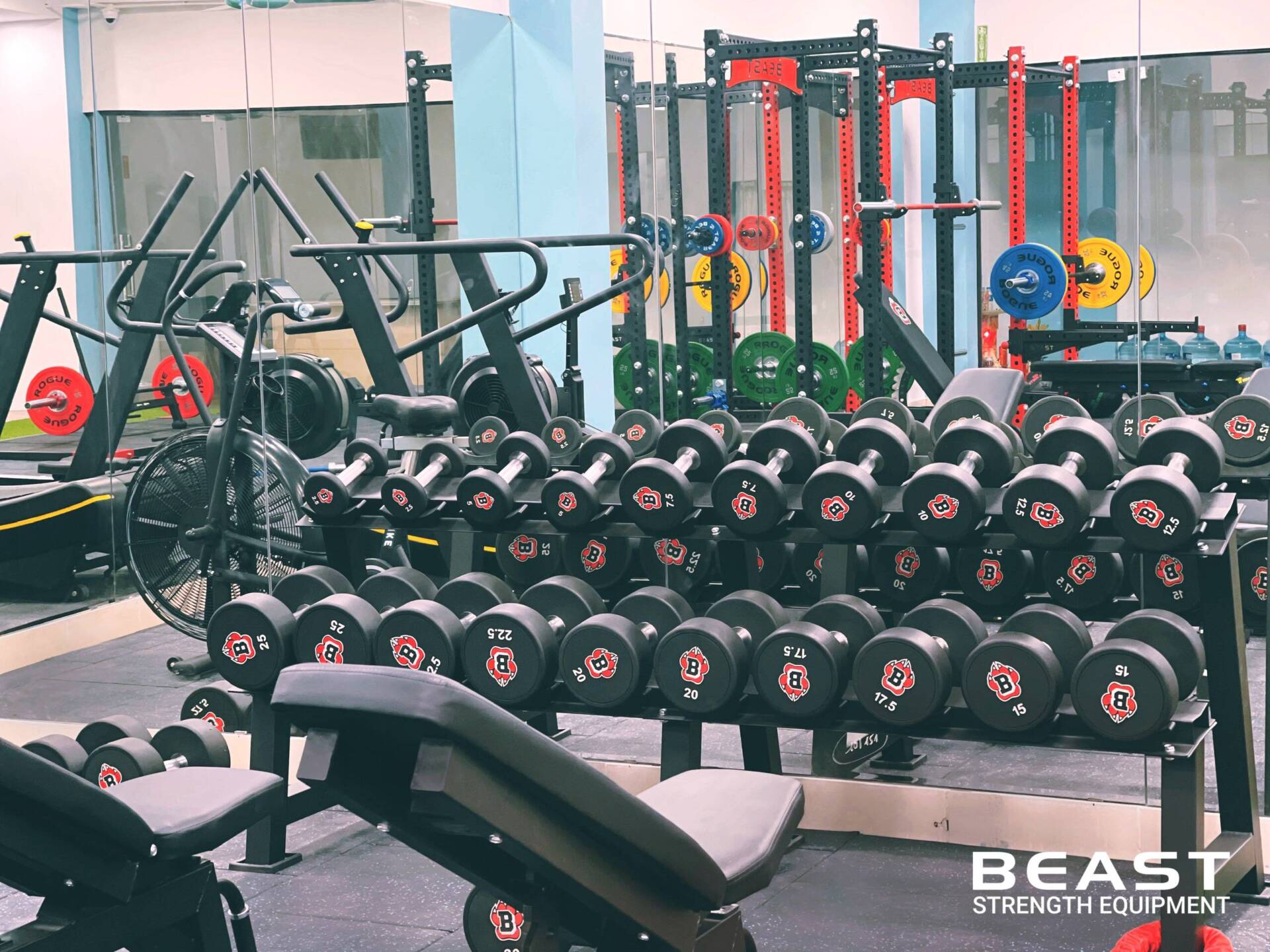 Thuận Vũ Wellness: Dự Án Beast Setup Phòng Gym Hiện Đại 9 Dự án Beast setup phòng gym Thuận Vũ Wellness