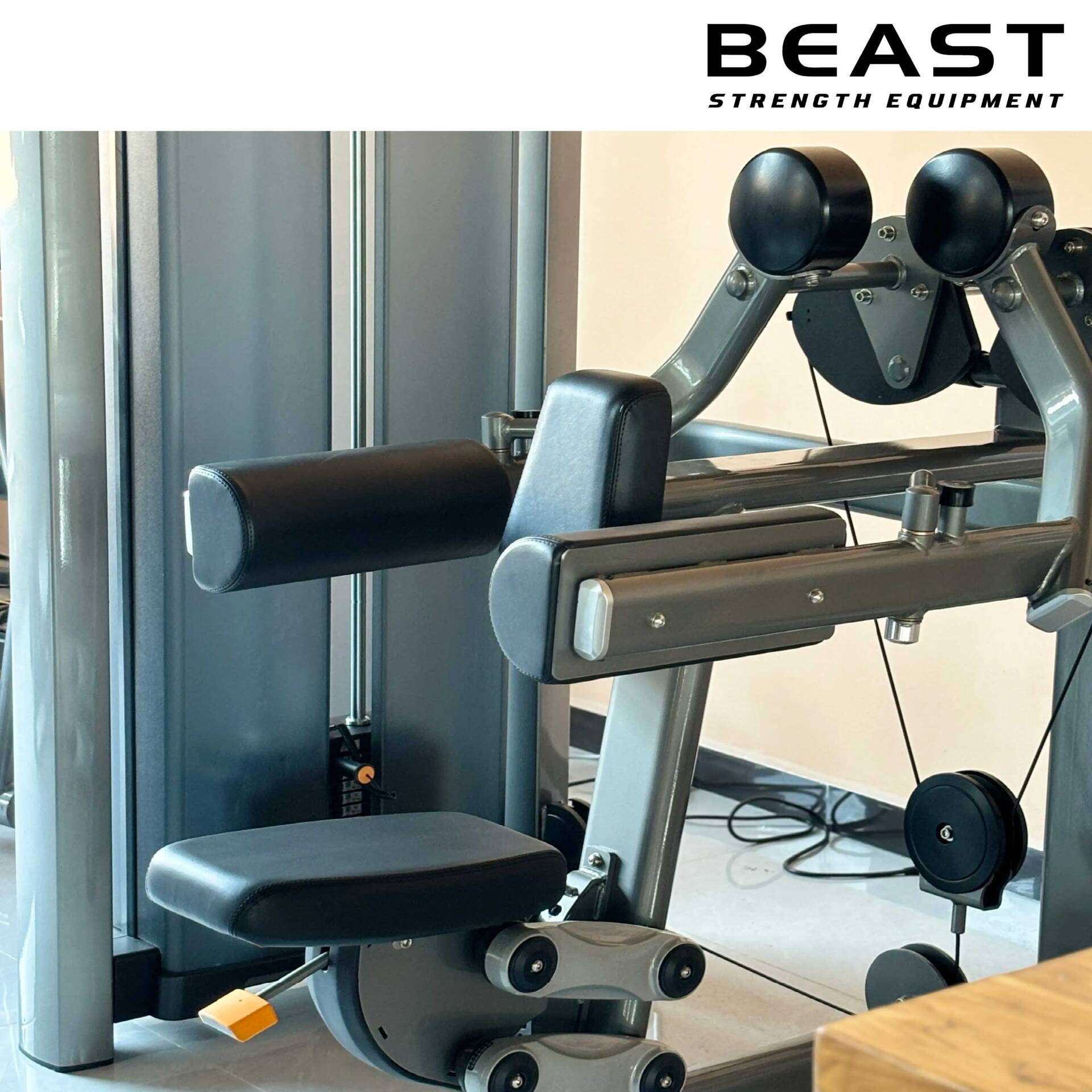 Máy tập vai Beast Delt Machine SF90-003A