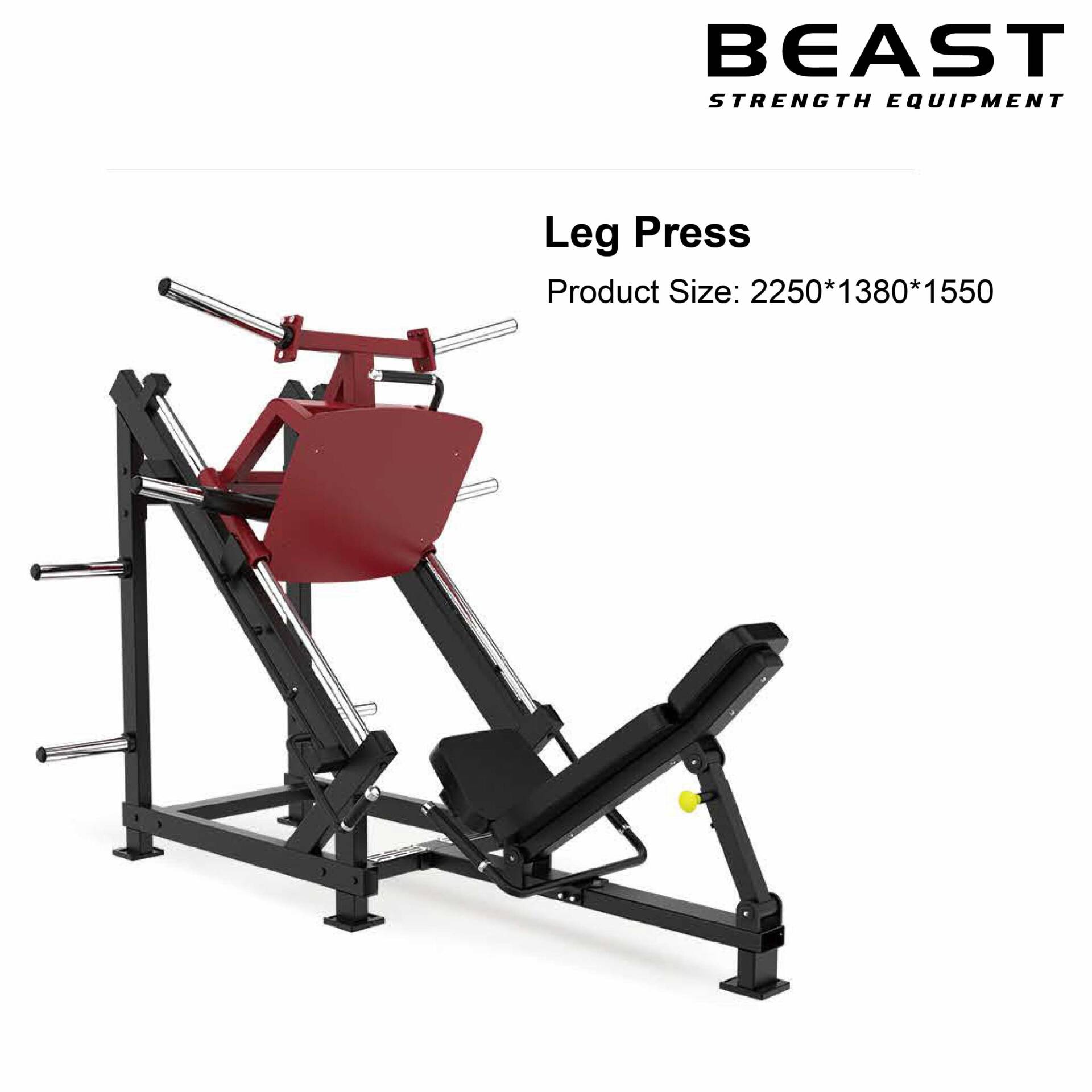 Máy đạp đùi Beast Leg Press Machine XVD-10 11 Máy Đạp Đùi Beast Leg Press Machine XVD-10