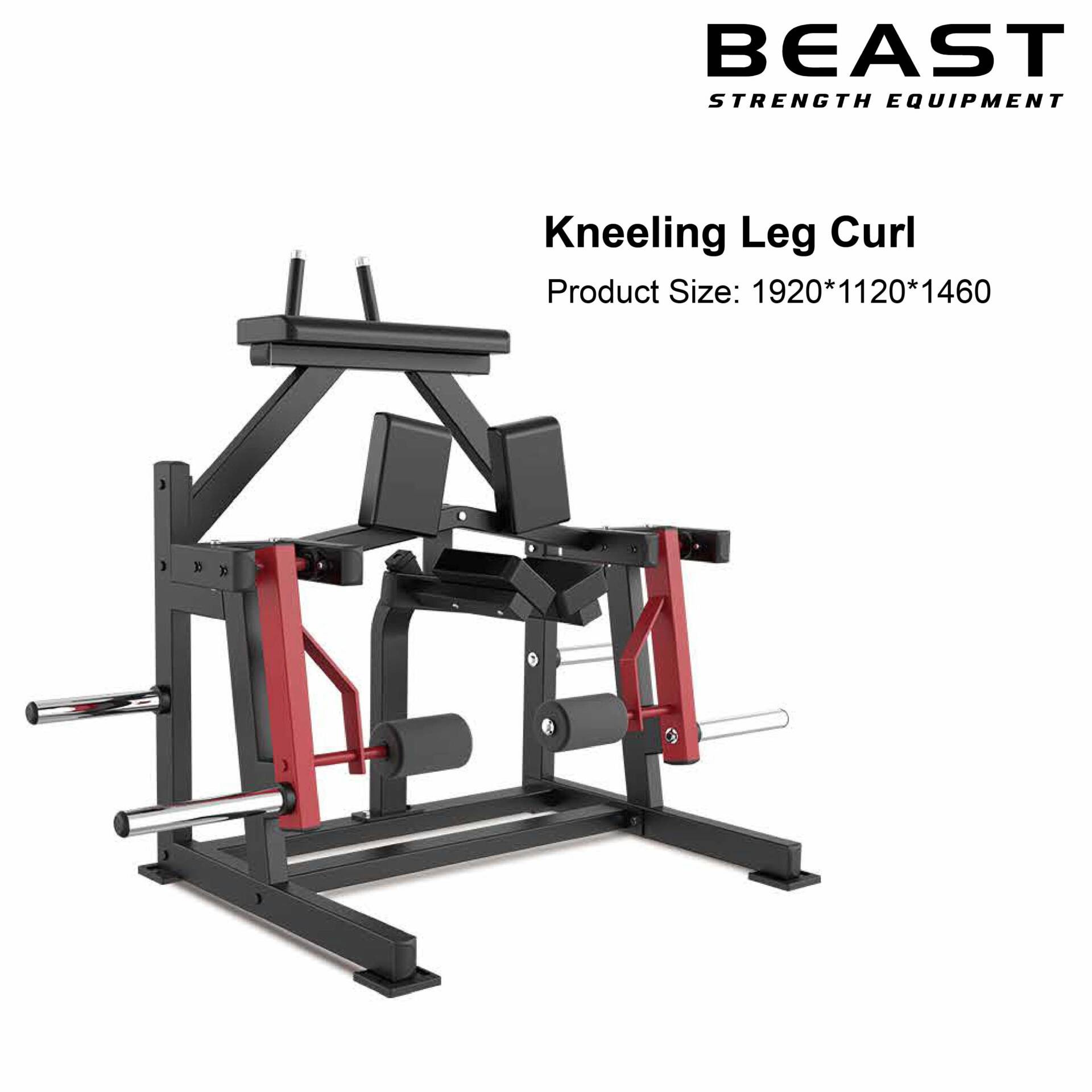 Máy quỳ cuộn chân Beast Kneeling Leg Curl XVD-03 3 Máy quỳ cuộn chân Beast Kneeling Leg Curl XVD-03