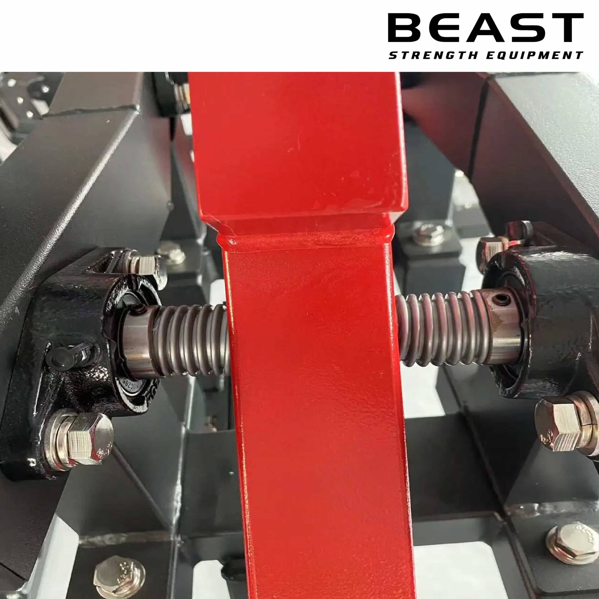 Máy tập bắp chân Beast Seated Calf Raise XVD-19 12 Máy Tập Bắp Chân Beast Seated Calf Raise XVD-19