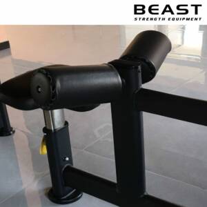 Máy kéo lưng xô Beast Lat Pull Down 6 Máy kéo lưng lat pull down của Beast Việt Nam
