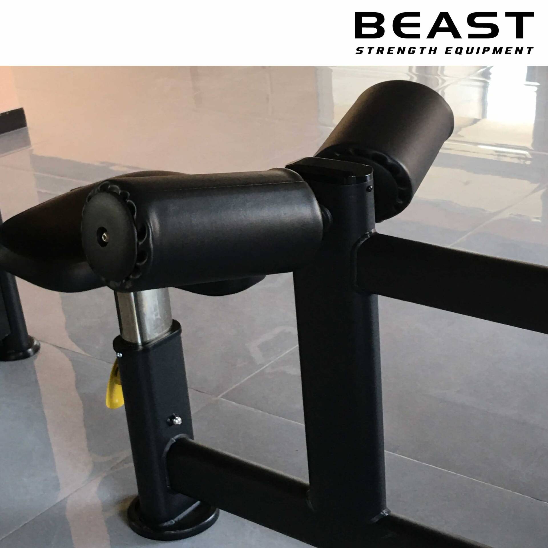 Máy kéo lưng xô Beast Lat Pull Down 10 Máy kéo lưng lat pull down của Beast Việt Nam
