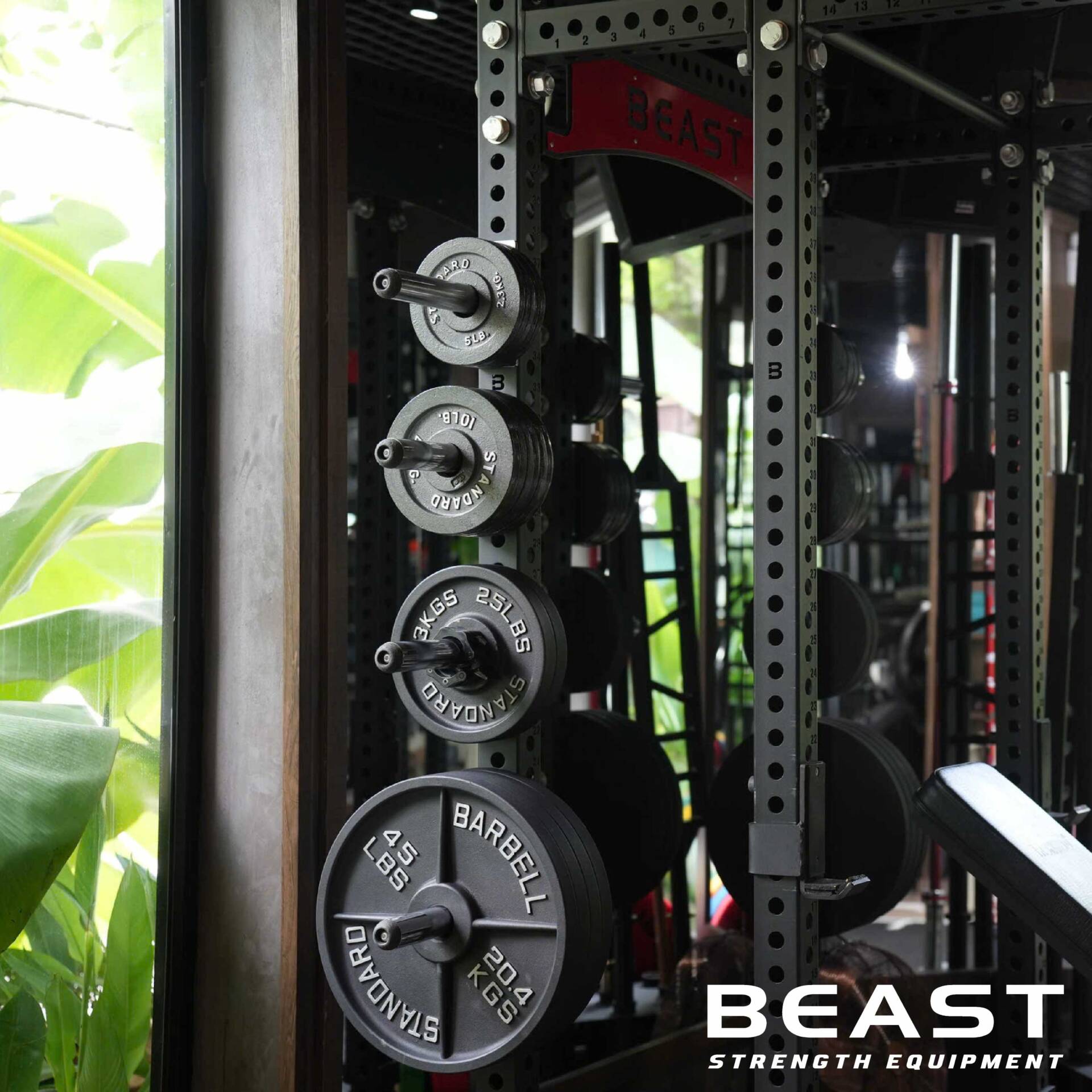 Bánh tạ gang đúc, barbell standard plates Beast