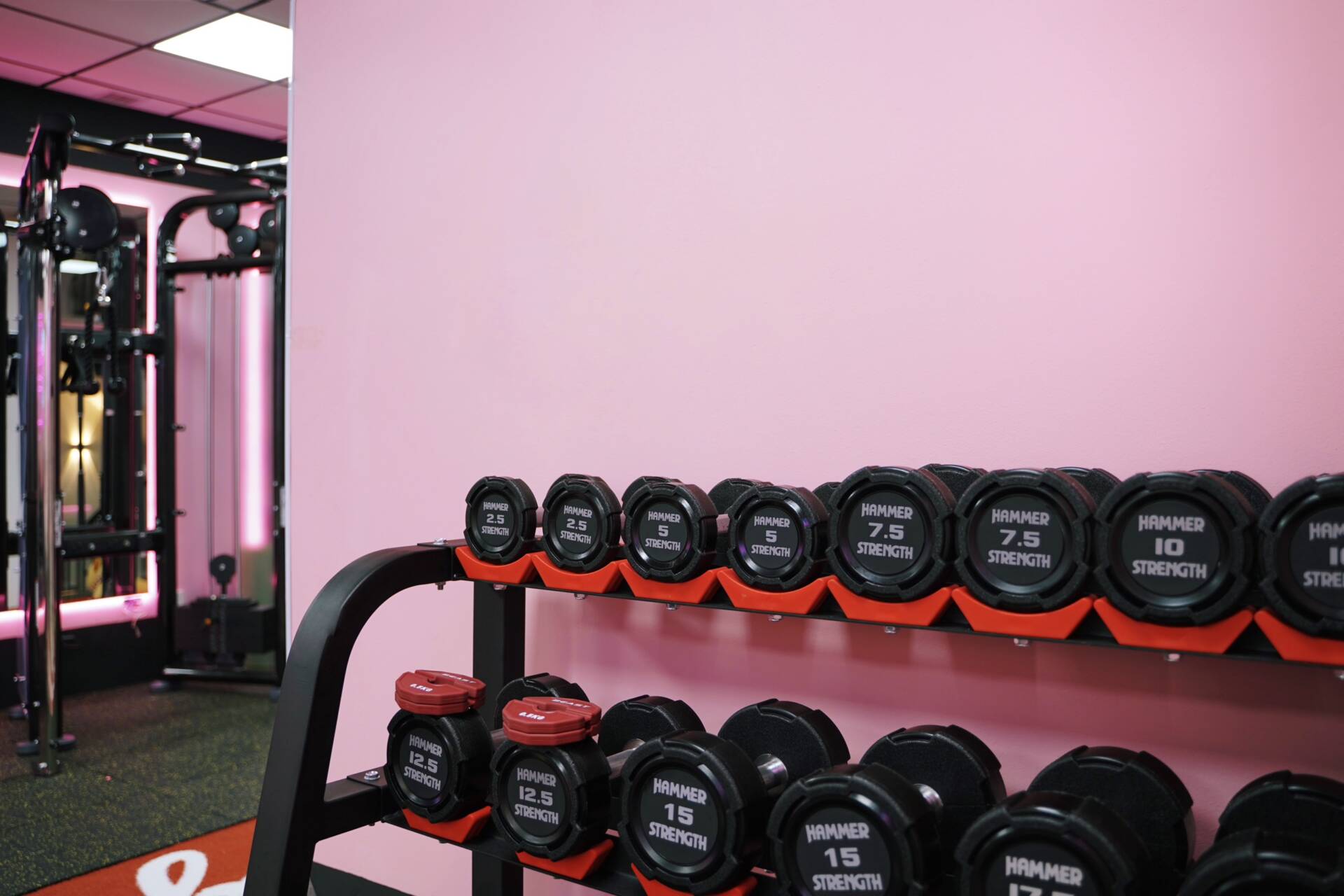 Tạ đơn hammer strength