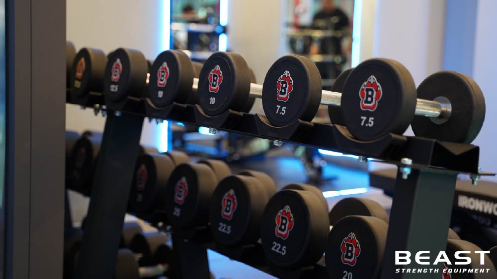 Giá để tạ của Beast Việt Nam