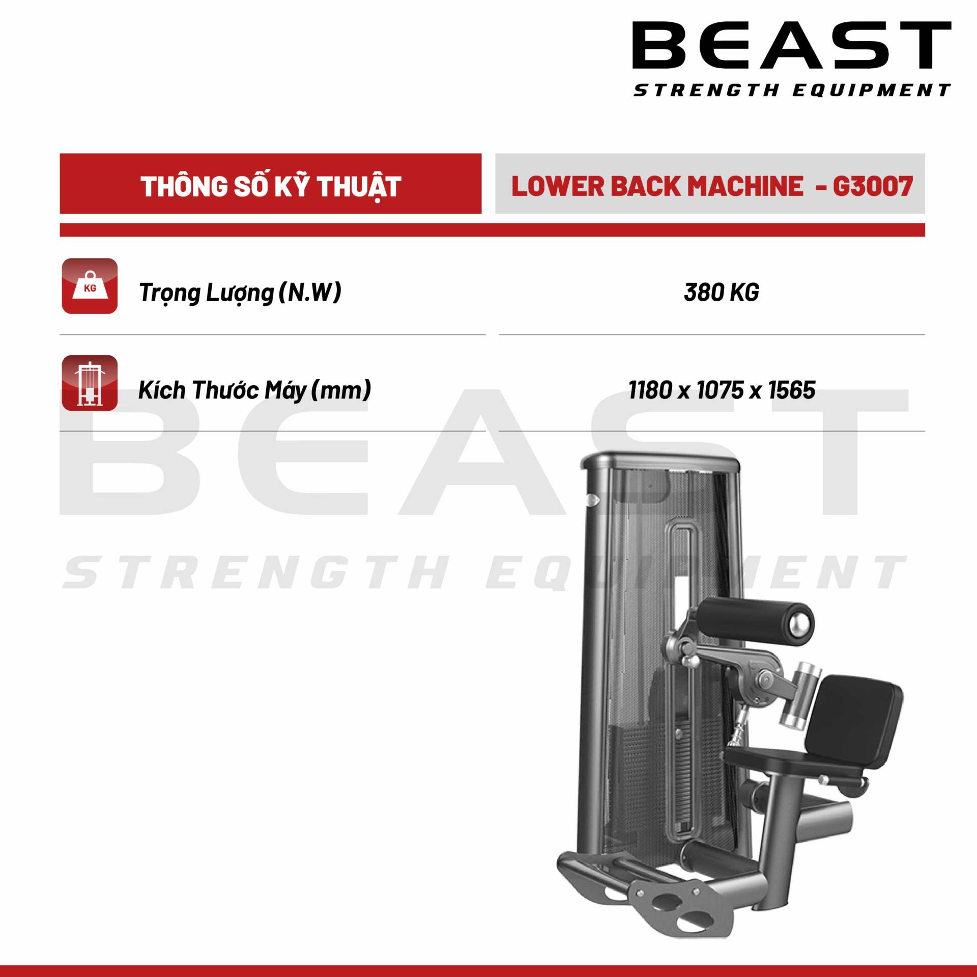 Máy tập lưng dưới Gym80 Low Back Machine 3038 3 Máy tập lưng dưới Gym80 Low Back Machine