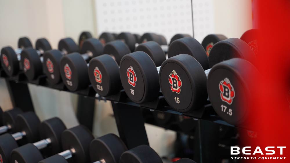 Giá tạ của Beast Việt Nam