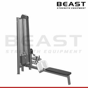 Máy tập lưng Gym80 Long Pulley