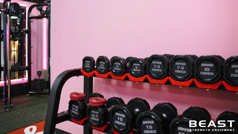 Giá để tạ của Beast Việt Nam