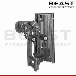 Máy tập vai Gym80 Deltoid Raise