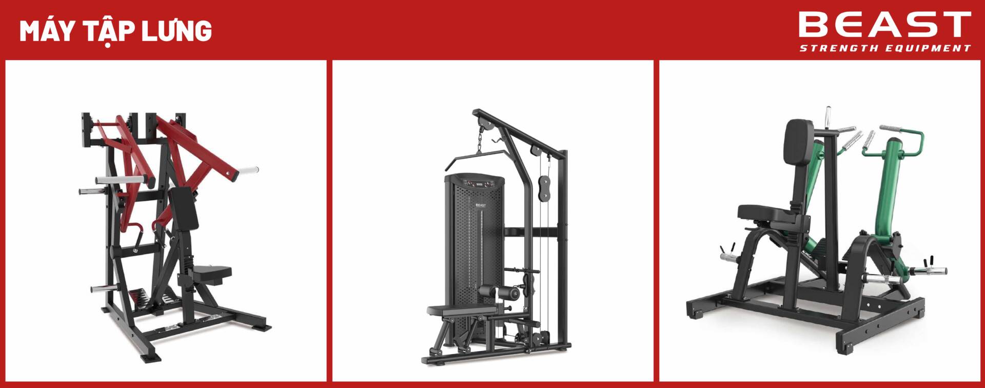Các mẫu máy tập lưng của Beast Việt Nam