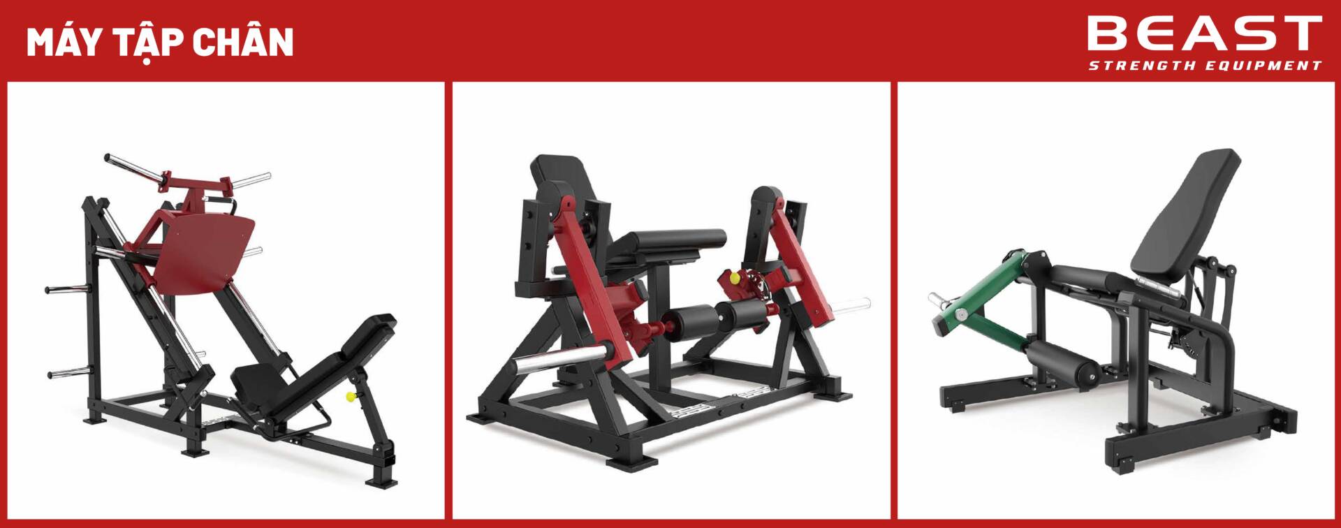 Các mẫu máy tập chân của Beast Việt Nam
