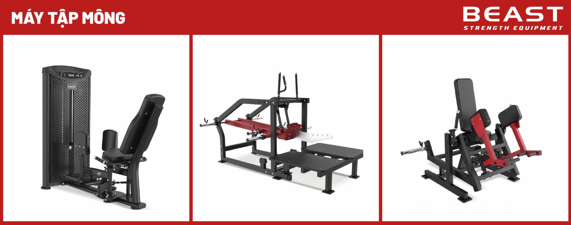Các mẫu máy tập mông của Beast Việt Nam