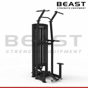 Máy tập lưng Beast Assisted Dip And Chin Up