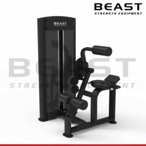 Máy tập bụng và lưng dưới Beast Crunch And Back Extension