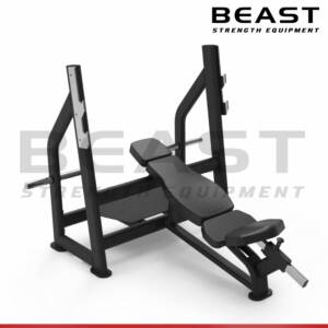 Ghế đẩy tạ dốc Beast Olympic Incline Bench