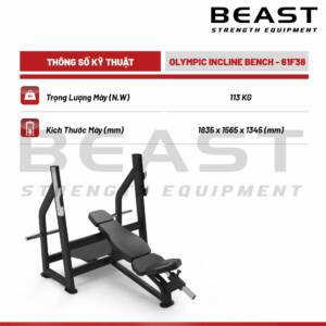 Ghế đẩy tạ dốc Beast Olympic Incline Bench