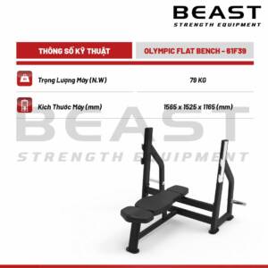 Ghế đẩy ngực Beast Olympic Flat Bench