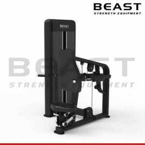 Máy tập tay sau Beast Triceps Dip