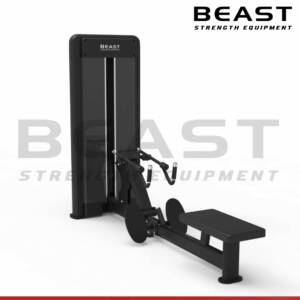 Máy kéo lưng Beast Seated Pulley