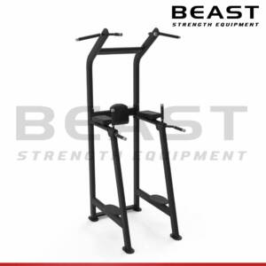 Khung tập bụng và tay sau Beast Knee Up And Dip