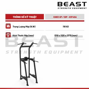 Khung tập bụng và tay sau Beast Knee Up And Dip