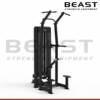 Máy tập lưng Beast Assisted Dip And Chin