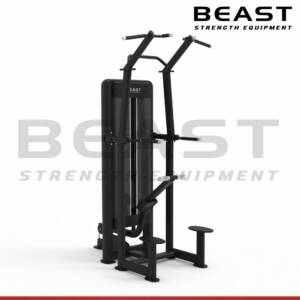 Máy tập lưng Beast Assisted Dip And Chin