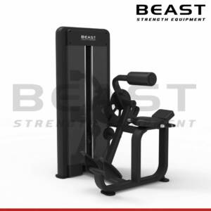 Máy tập lưng Beast Back Extension