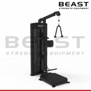 Máy đứng tập tay Beast Standing Biceps And Triceps