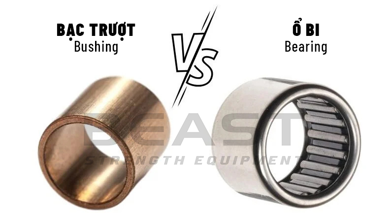 bạc trượt và ổ bi của thanh đòn Beast