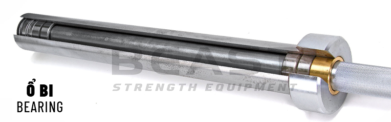 Thanh đòn Ổ bi Bearing barbell